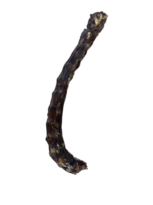 Harmony Special - Dehydrated Dog Treats - Duck Neck