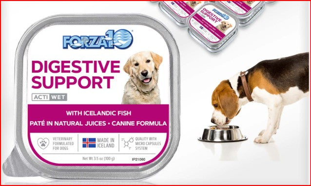 Forza 10 Digestive Support wet dog food in a silver tray, shown alongside two smaller cans and a beagle eating from a metal bowl. The label highlights Icelandic fish and canine formula. Available at Harmony Pet Supplies, Scarborough
