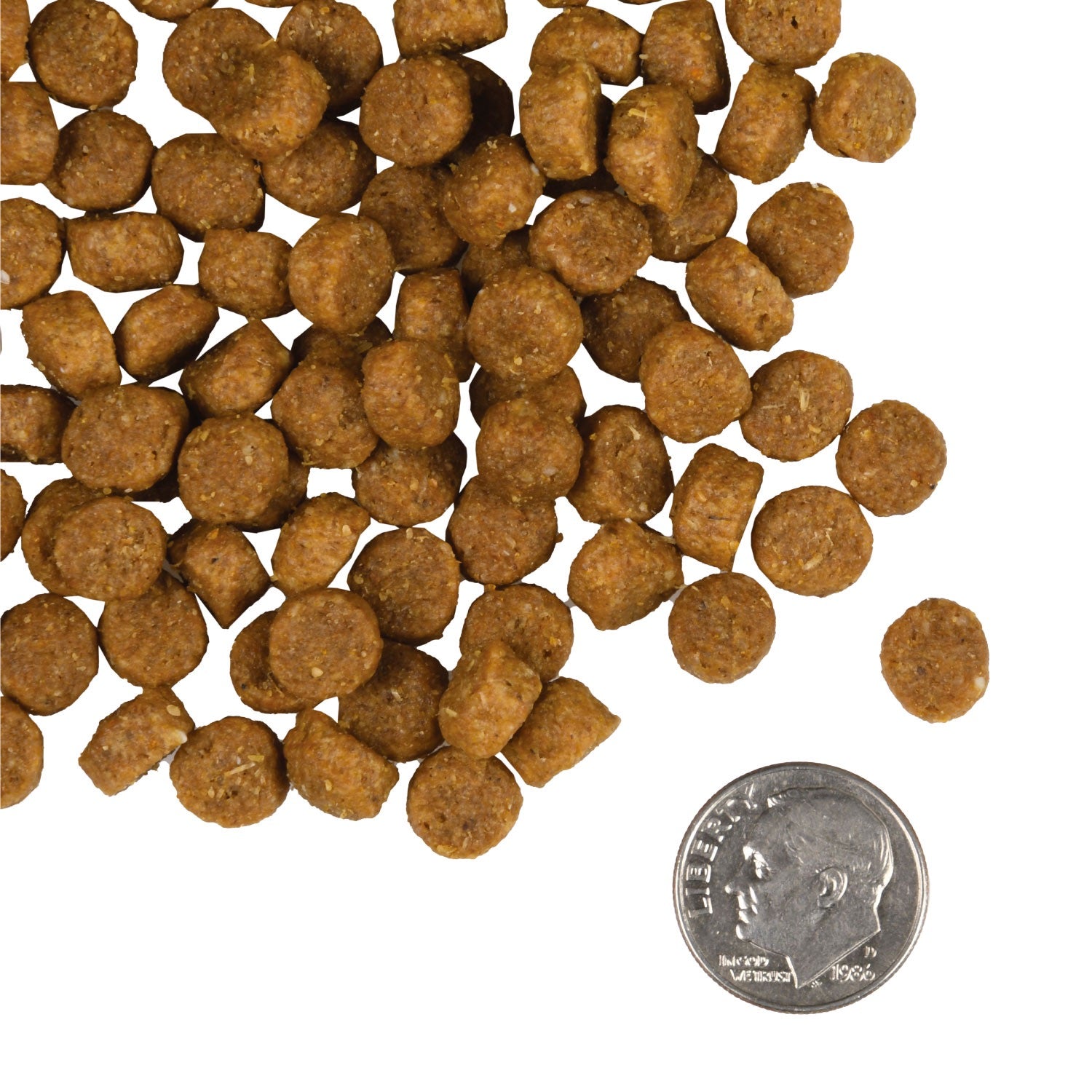 Dog food pellets with a quarter for scale on a white background