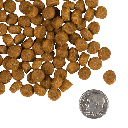 Dog food pellets with a quarter for scale on a white background