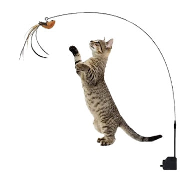 Goo-eez Suction Pole Cat Toy displaying a cat at playing with a toy on a white background at Harmony Pet Supplies Scarborough