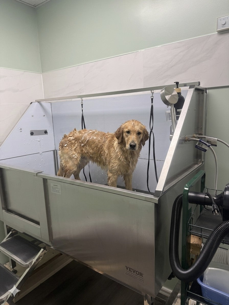 Dog standing inside a grooming tub in Harmony Pet Supplies Scarborough Self Serve Dog wash station