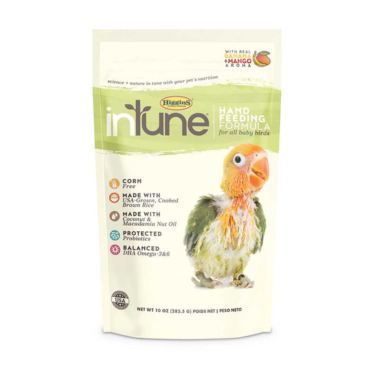 Hartz inTune hand feeding formula package for baby birds on a white background at Harmony Pet Supplies, Scarborough