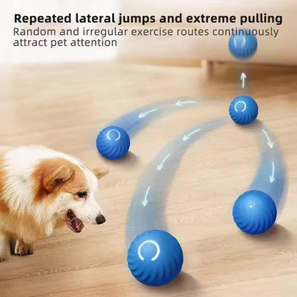 Vibrating Dog Ball Toy for Dogs & Cats – Interactive Bouncing Harmony Pet Supplies Scarborough