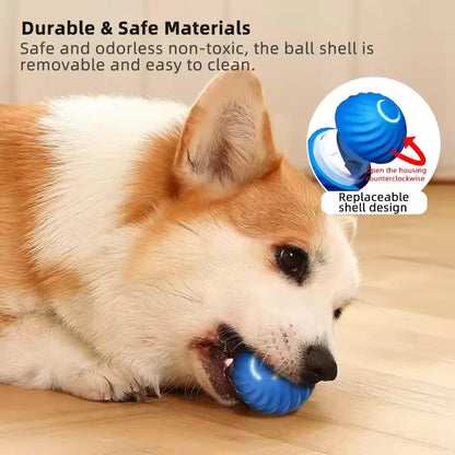 Vibrating Dog Ball Toy for Dogs & Cats – Interactive Bouncing Harmony Pet Supplies Scarborough