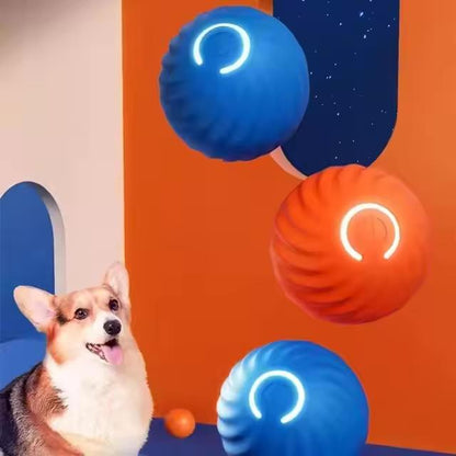 Vibrating Dog Ball Toy for Dogs & Cats – Interactive Bouncing Harmony Pet Supplies Scarborough