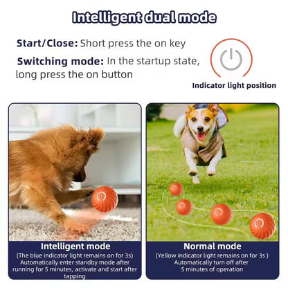 Vibrating Dog Ball Toy for Dogs & Cats – Interactive Bouncing Harmony Pet Supplies Scarborough
