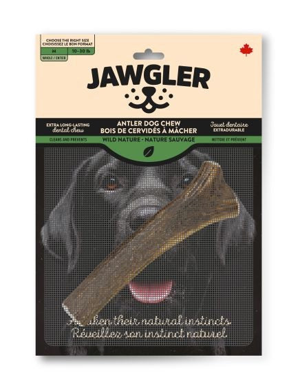 Jawgler antler dog chew Medium size - Harmony Pet Supplies | Scarborough, Pickering, Ajax, Whitby, North York.