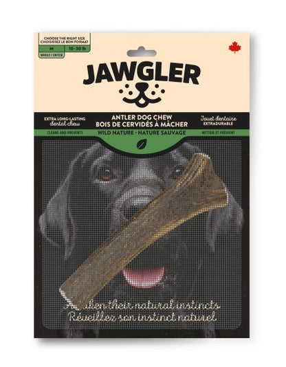 Jawgler antler dog chew Medium size - Harmony Pet Supplies | Scarborough, Pickering, Ajax, Whitby, North York.