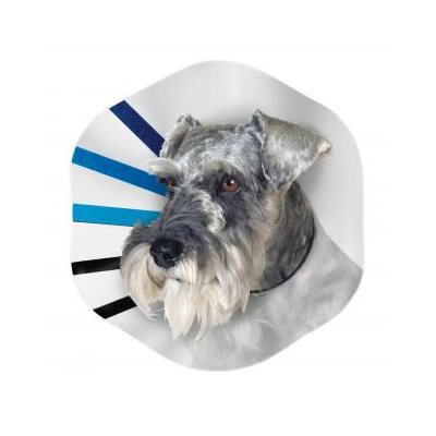 KONG - EZ Clear Recovery Collar (Medium)
