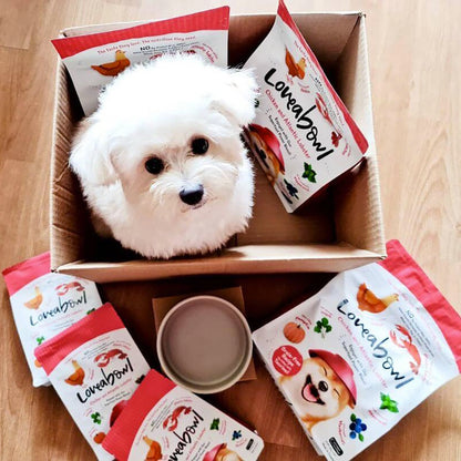 Dog toy shaped like a dog's head in a box with Loveabowl products around it.