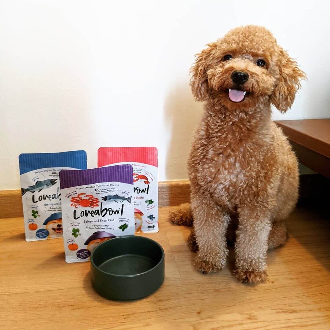 Dog sitting next to a Loveabowl pet food container on a wooden surface.