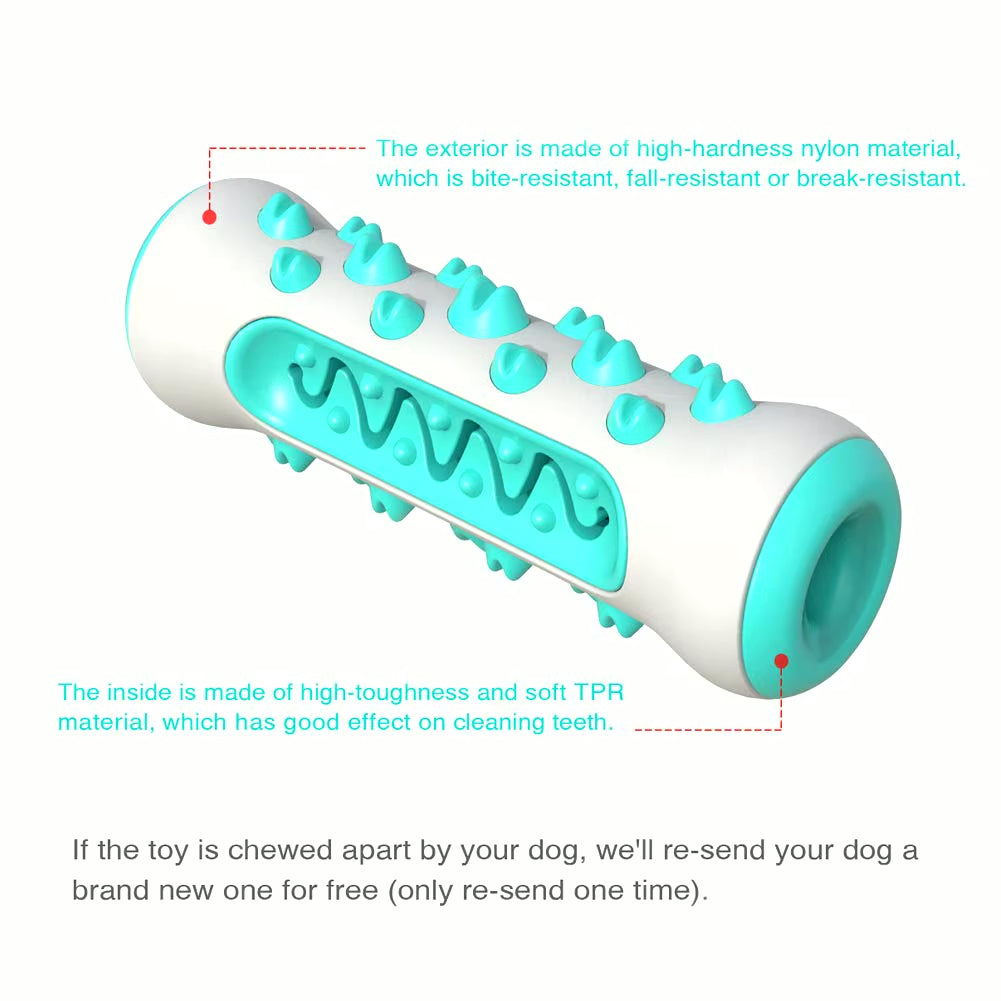 Chew Toys for Dogs – Unbreakable Molar Treat Dispenser Harmony Pet Supplies Scarborough
