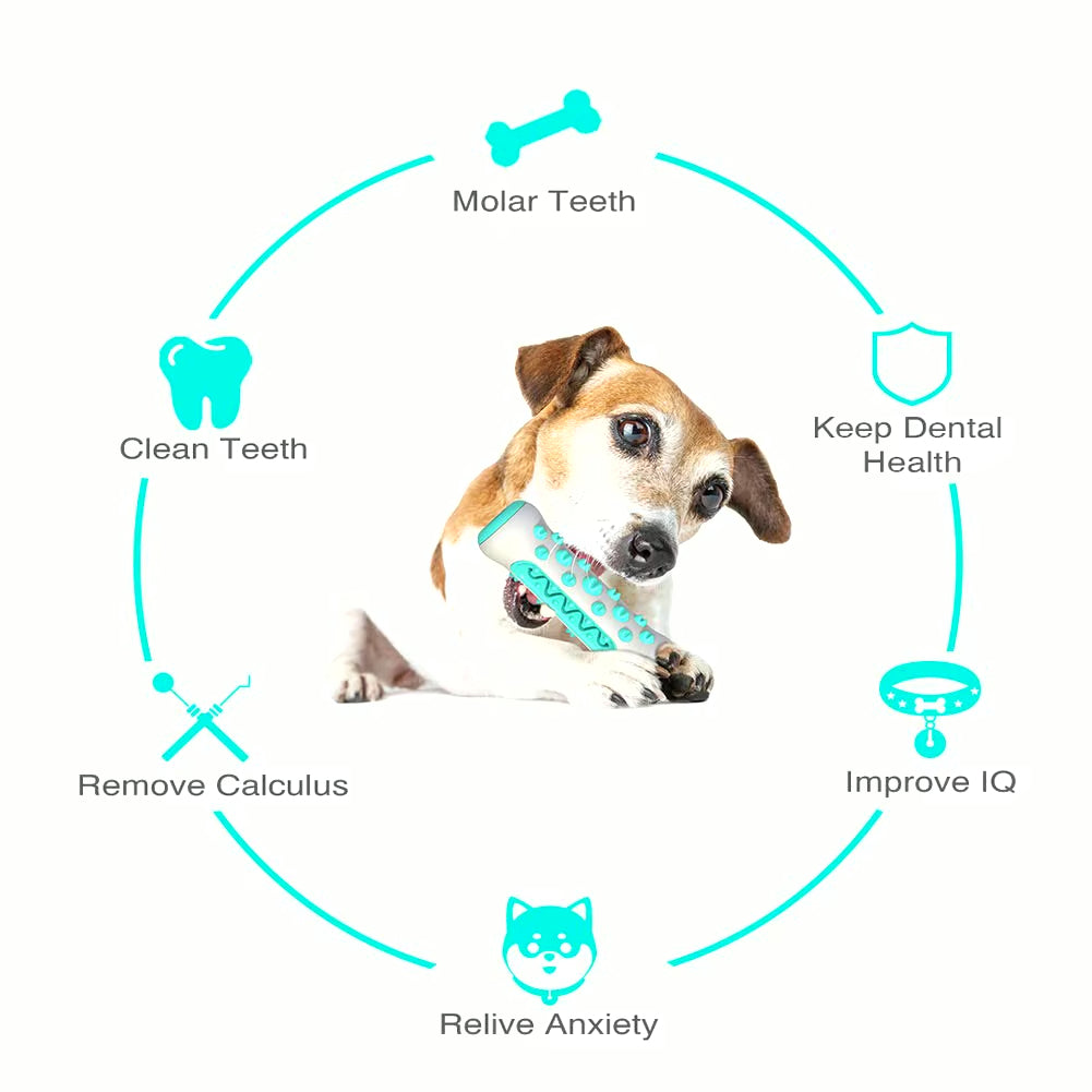 Chew Toys for Dogs – Unbreakable Molar Treat Dispenser Harmony Pet Supplies Scarborough
