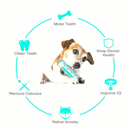 Chew Toys for Dogs – Unbreakable Molar Treat Dispenser Harmony Pet Supplies Scarborough