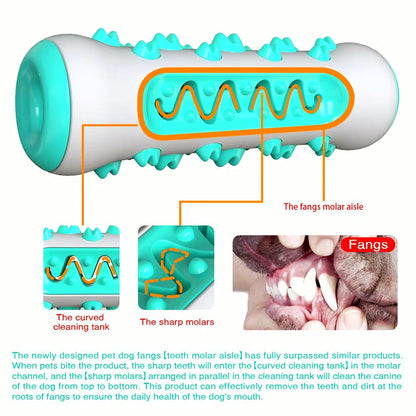 Chew Toys for Dogs – Unbreakable Molar Treat Dispenser Harmony Pet Supplies Scarborough