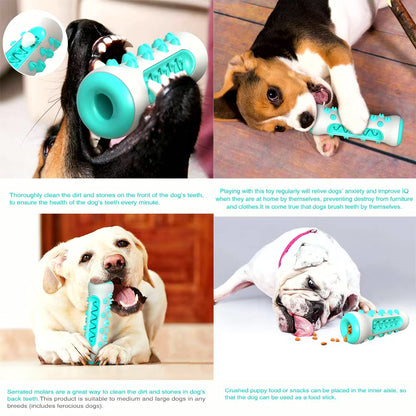 Chew Toys for Dogs – Unbreakable Molar Treat Dispenser Harmony Pet Supplies Scarborough