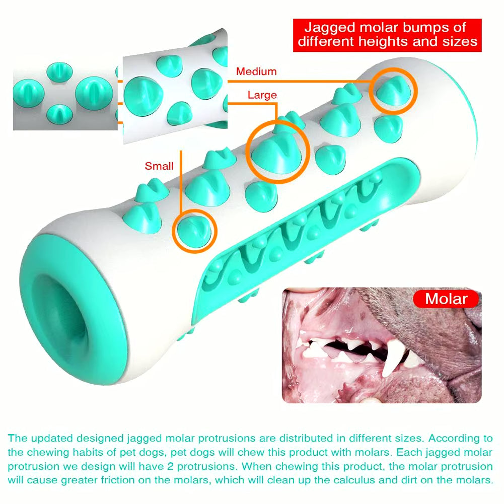 Chew Toys for Dogs – Unbreakable Molar Treat Dispenser Harmony Pet Supplies Scarborough