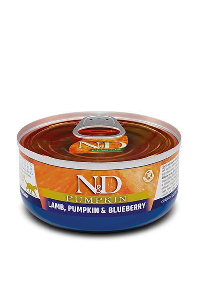N&D cat food can with pumpkin, lamb, and blueberry flavor on a white background at Harmony Pet Supplies, Scarborough