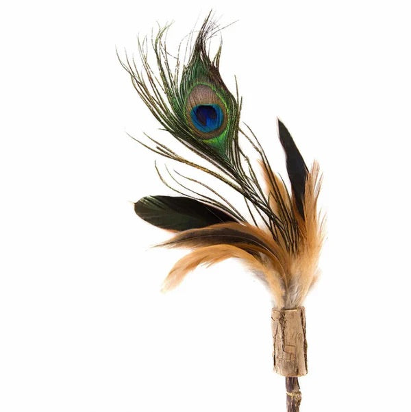 Peacock feather decorative item on a white background