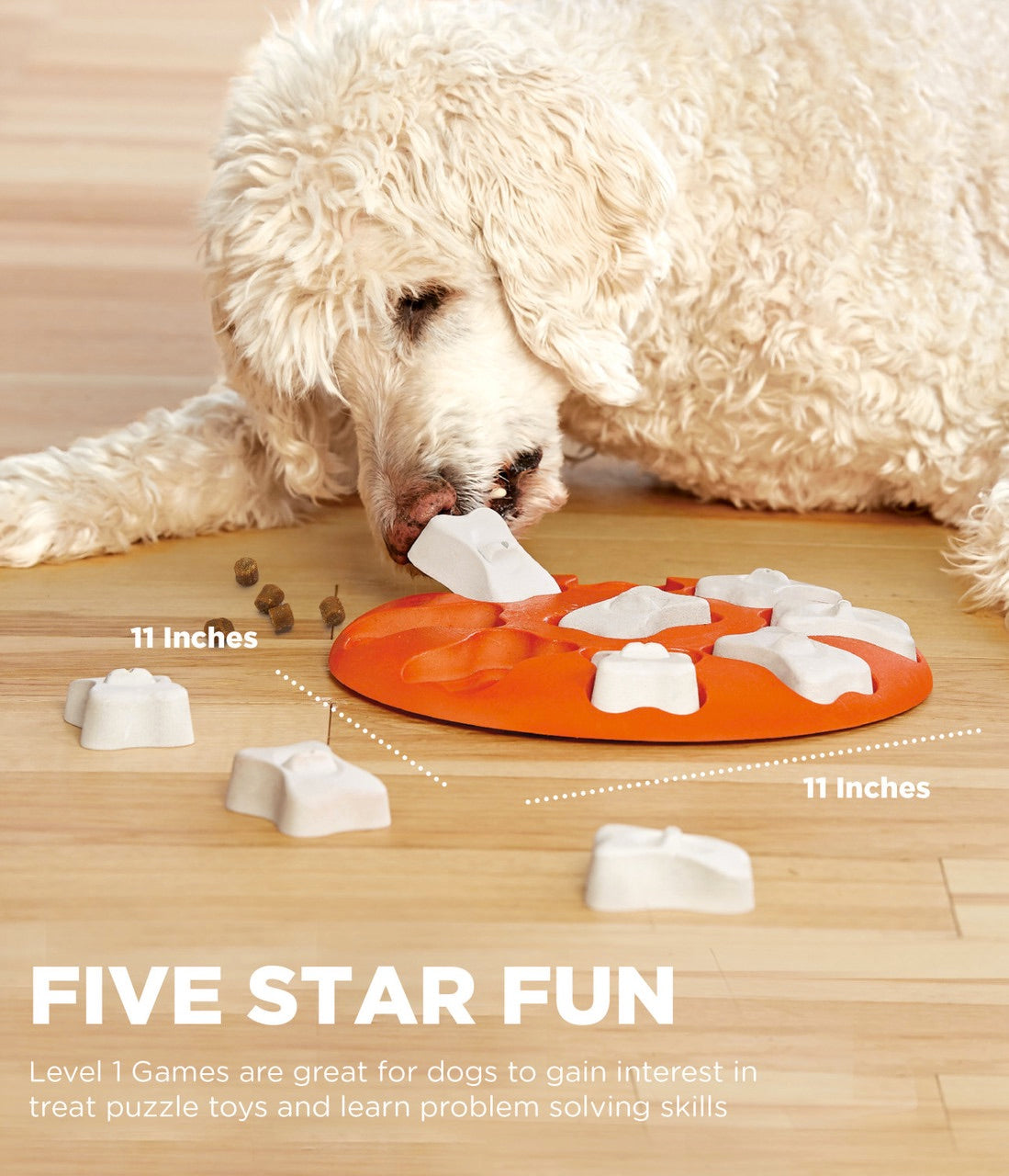 Dog playing with a puzzle toy on a wooden floor