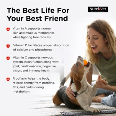 Woman playing with a dog on a rug, with Nutri-Vet branding and health benefits text. Harmony Pet Supplies