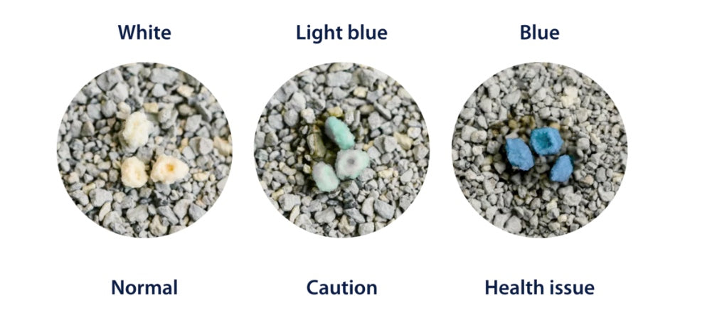Three circular samples labeled 'Normal', 'Caution', and 'Health issue' with different colored stones on a gravel background of Odourlock max care test sample. Shop at at Harmony Pet Supplies Scarborough