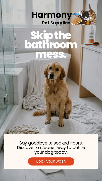 Dog sitting on a bathroom floor with text promoting Harmony Pet Supplies Scarborough self serve dog wash.