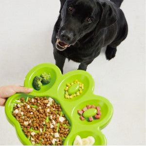 Paw Slow Paw - Go Slow Pet Feeder Harmony Pet Supplies Scarborough