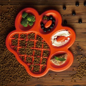 Red pet food dish with various food items on a wooden surface
