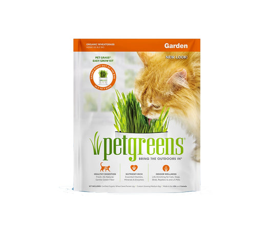 Bell Rock - Pet Greens - Organic Wheat Grass Self-Grow Kit