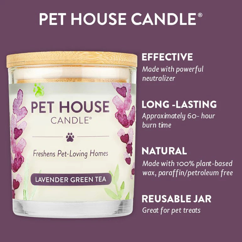 Pet House Candle with lavender green tea scent on a purple background