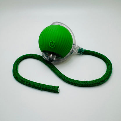Vibrating Bouncing Ball – Interactive Toy for Cats & Dogs Harmony Pet Supplies Scarborough