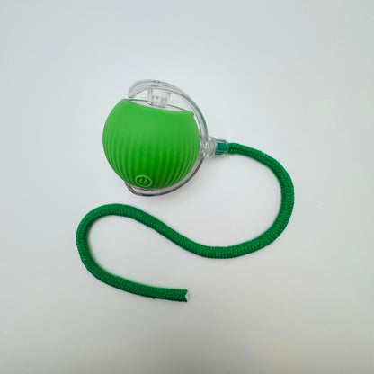 Vibrating Bouncing Ball – Interactive Toy for Cats & Dogs Harmony Pet Supplies Scarborough