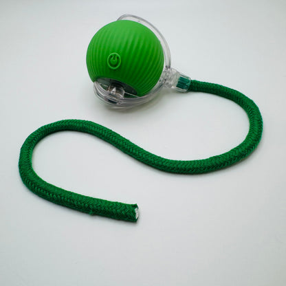 Vibrating Bouncing Ball – Interactive Toy for Cats & Dogs Harmony Pet Supplies Scarborough