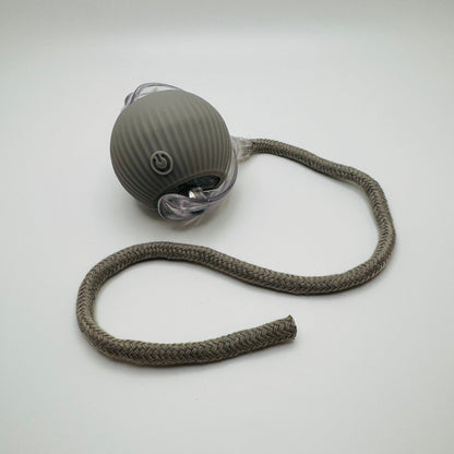 Vibrating Bouncing Ball – Interactive Toy for Cats & Dogs Harmony Pet Supplies Scarborough