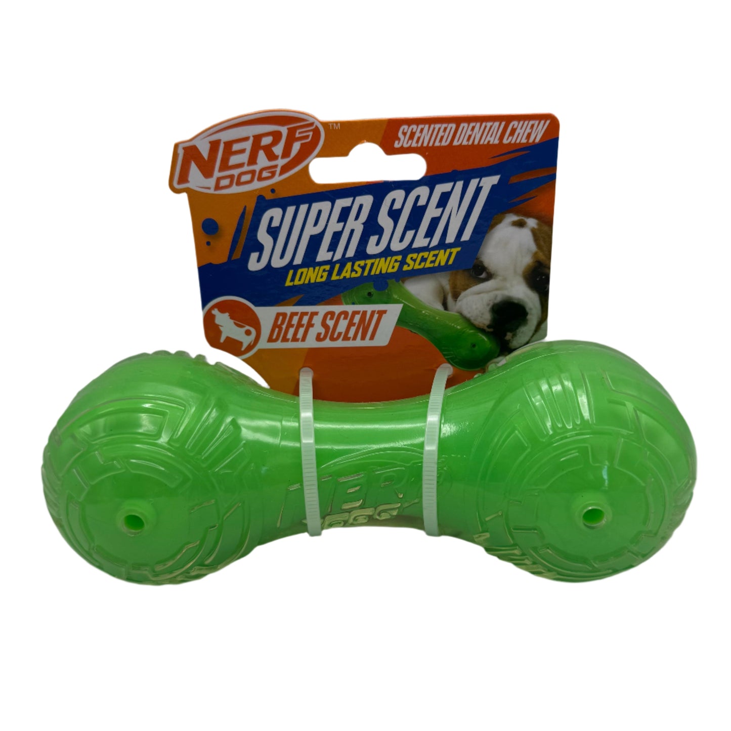 Beef-Scented Barbell Dog Toy – Durable 7" Chew & Fetch Toy Harmony Pet Supplies Scarborough