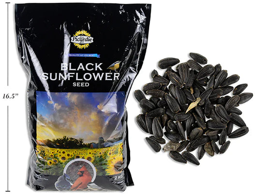 Bag of Picardie Black Sunflower Seeds with sunflower seeds displayed next to it on a white background at Harmony Pet Supplies, Scarborough