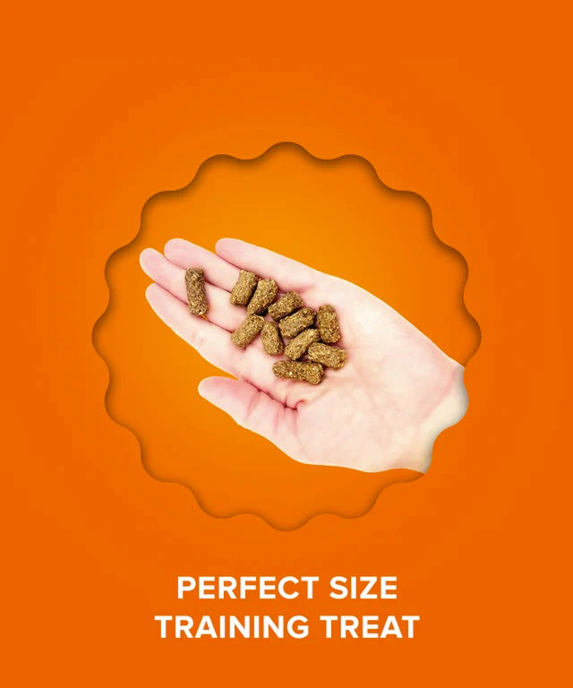 Plato Small Bites with Organic Chicken Dog Treats Details
