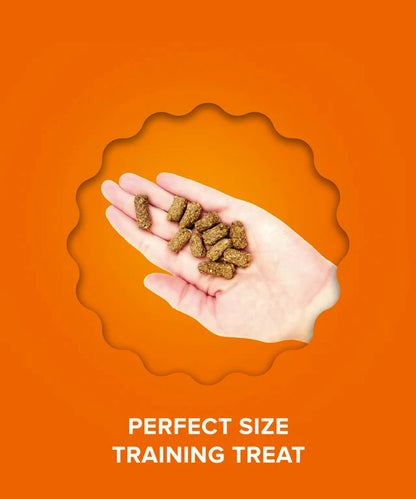 Plato Small Bites with Organic Chicken Dog Treats Details