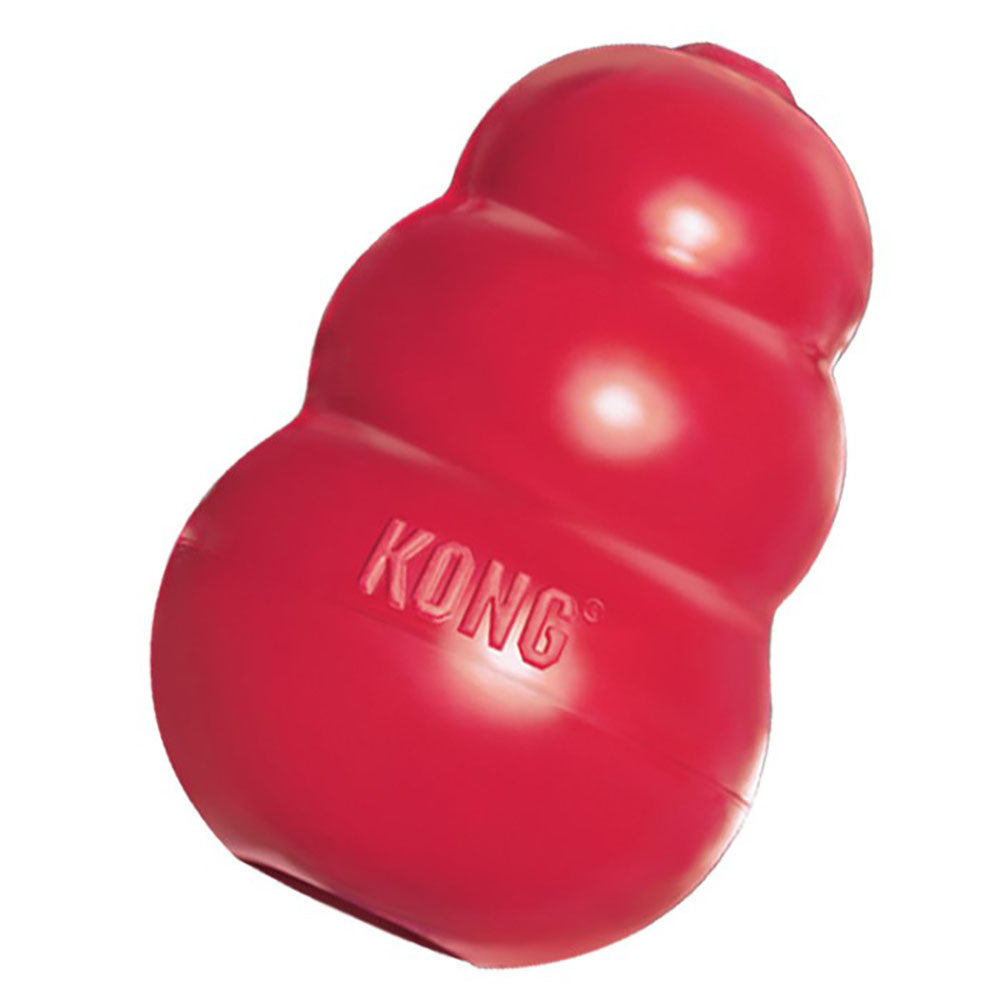 Kong - Classic Dog Toy Harmony Pet Supplies Scarborough