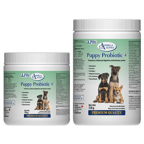 Two containers of Omega Alpha Puppy Probiotic on a white background at Harmony Pet Supplies, Scarborough