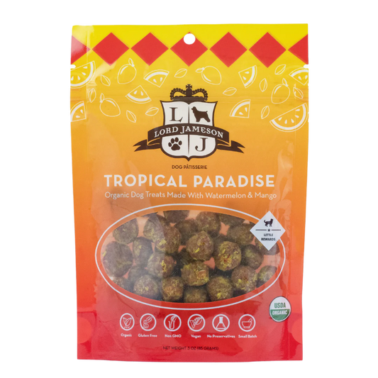 Lord Jameson - Tropical Paradise Harmony Pet Supplies Scarborough