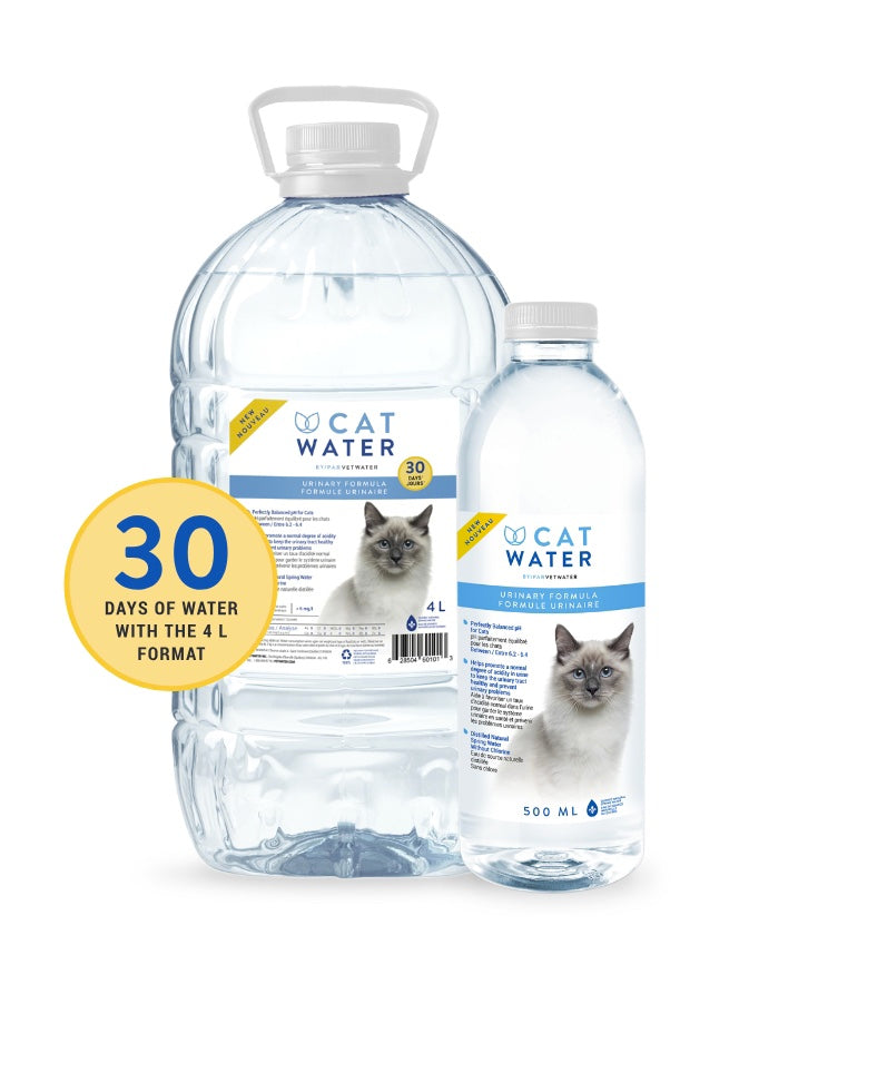 VetWater Urinary Formula Cat Water Front