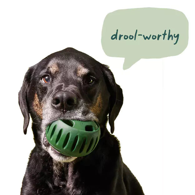 Dog holding a woof green ball toy in its mouth with a speech bubble saying 'drool-worthy' on a white background at Harmony Pet Supplies, Scarborough