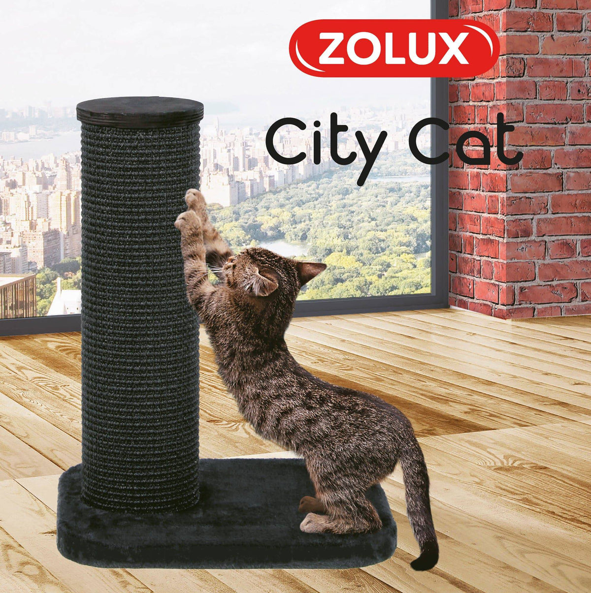 Zolux - City Cat - Scratching Post with Platform