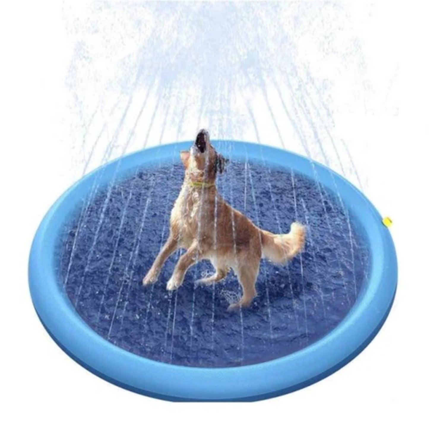 Goo-eez - Pet Pool - Splash & Spray