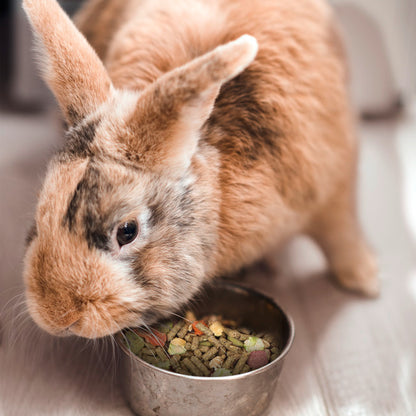 Vitakraft Menu Rabbit Food