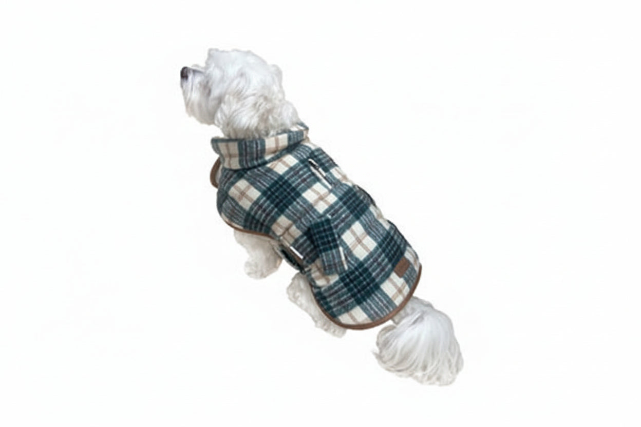Dog wearing a foufoudog brand plaid coat on a white background at Harmony Pet Supplies Scarborough