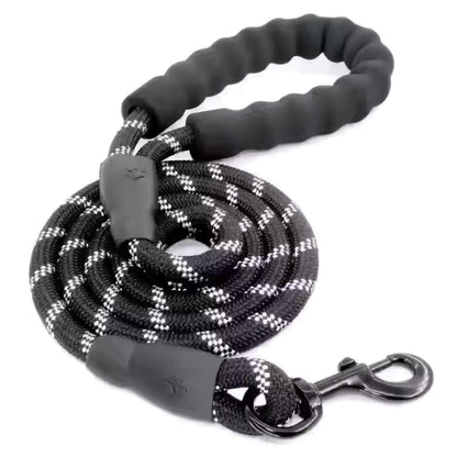 Reflective Dog Leash – Durable Safety for Night Walks Harmony Pet Supplies Scarborough